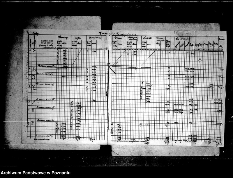 Obraz 11 z jednostki "Rejestr zasiewów majątku Lutom"