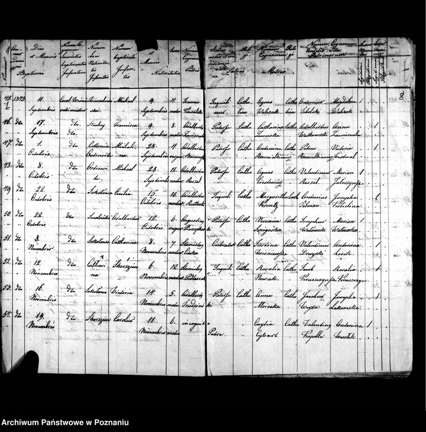 image.from.unit.number "Duplicatus baptisatorum, copulatorum, mortuorum"