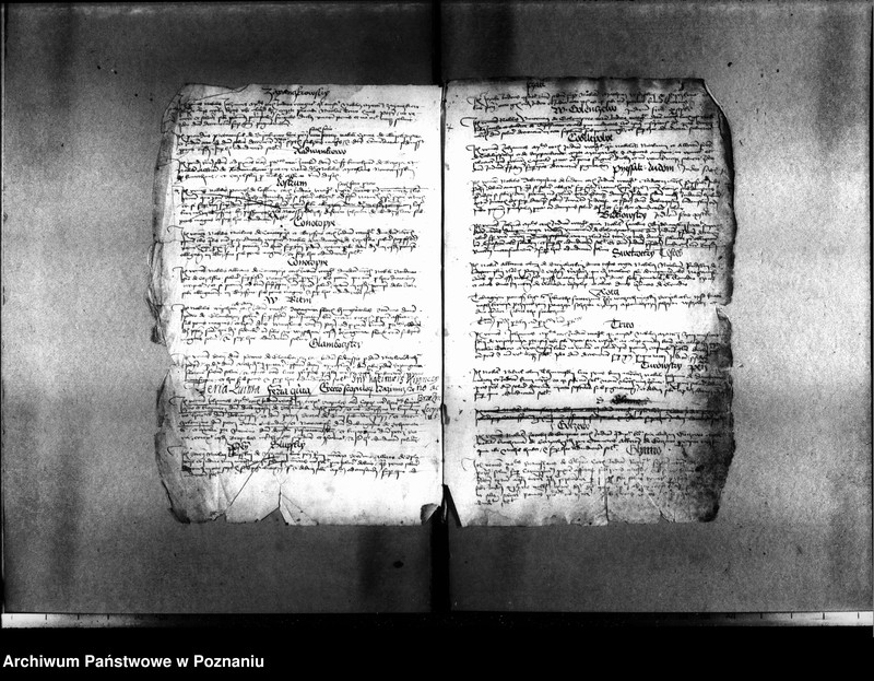 Obraz 11 z jednostki "Resignationes ,inscriptiones, relationes, decreta [protocollon]"