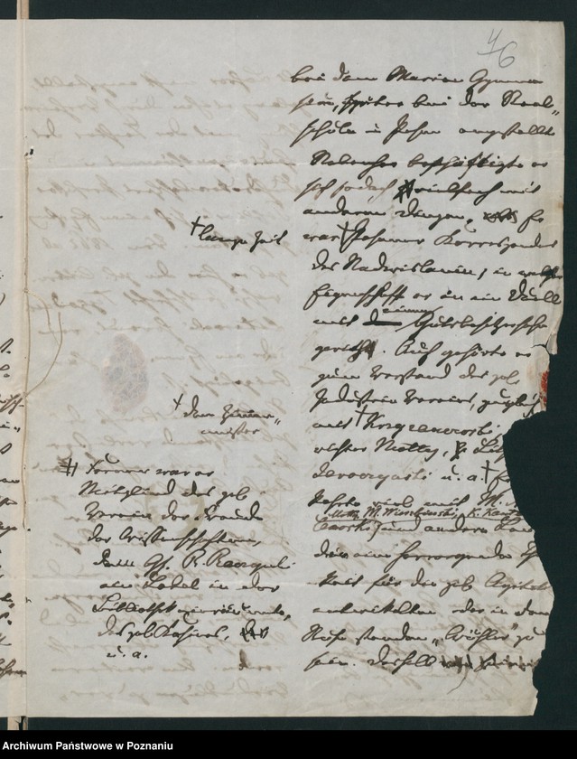 Obraz 10 z jednostki "A. betr. den dr Kasimir /Schultz/ Szulc"