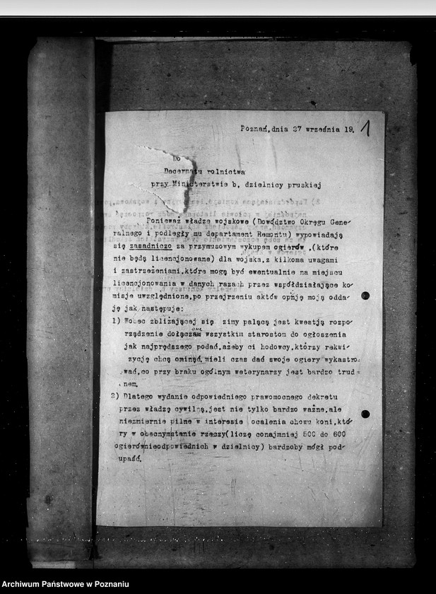 Obraz 5 z jednostki "Sprawy ogólne stadnin"