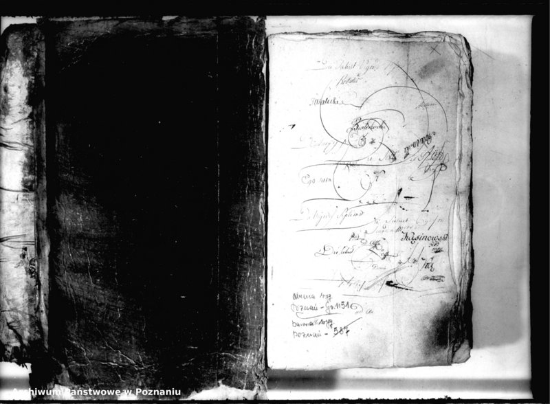 Obraz 3 z jednostki "Relationes [protocollon]"