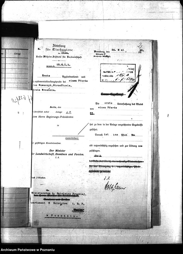 Obraz 6 z jednostki "Nosacizna - Września"