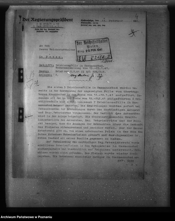 Obraz 8 z jednostki "Trichinose, Typhus"