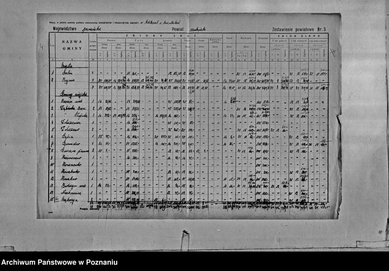 Obraz 6 z jednostki "/Statystyka produkcji rolnej - zestawienie powiatowe - Szubin"