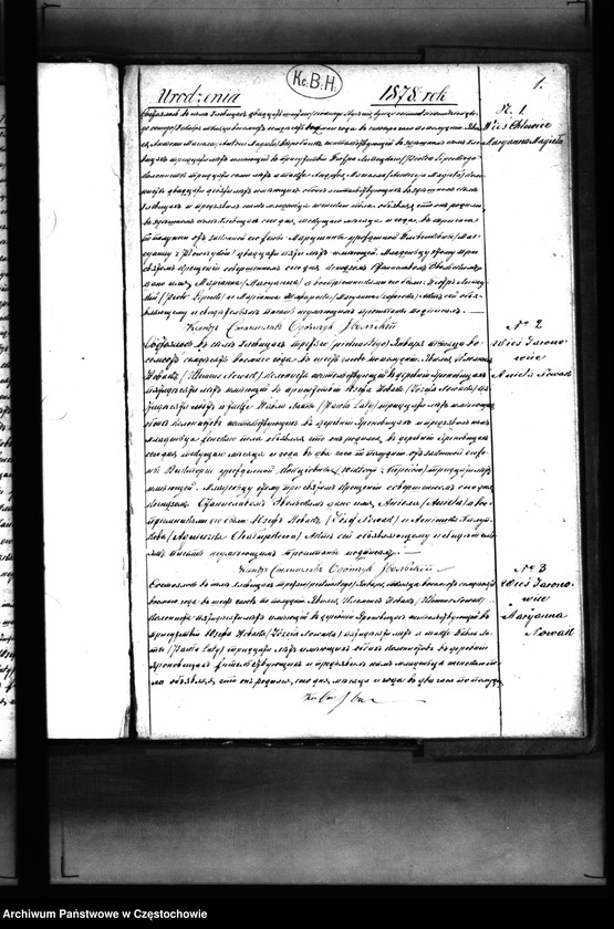 Obraz z jednostki "Duplikat księgi urodzeń, małżeństw i zgonów z 1878 roku"