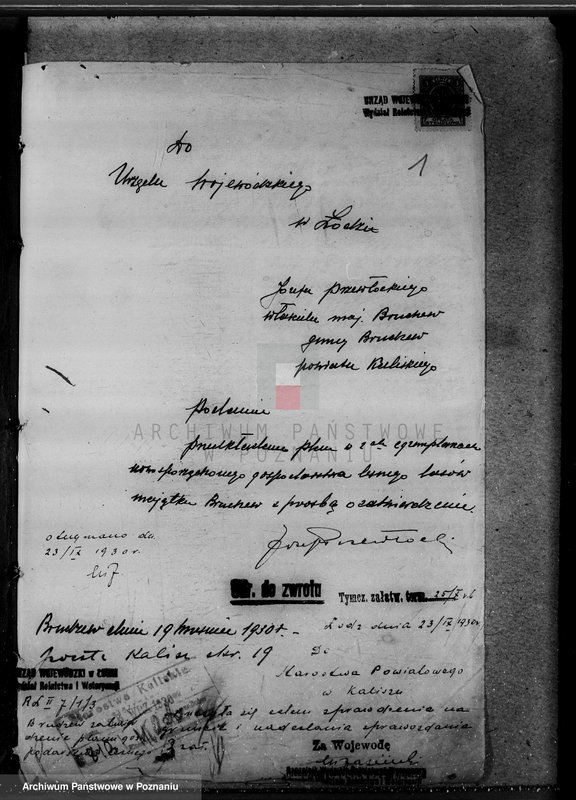 Obraz 5 z jednostki "Lasy majątku Brudzew w powiecie kaliskim"