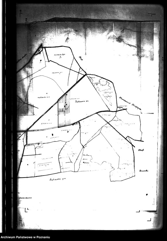 Obraz 5 z jednostki "Majątek Bralin powiatu kępińskiego wyłączenie z art. 4 i 5 ustawy o przeprowadzeniu reformy rolnej Gustaw Biron von Curland"