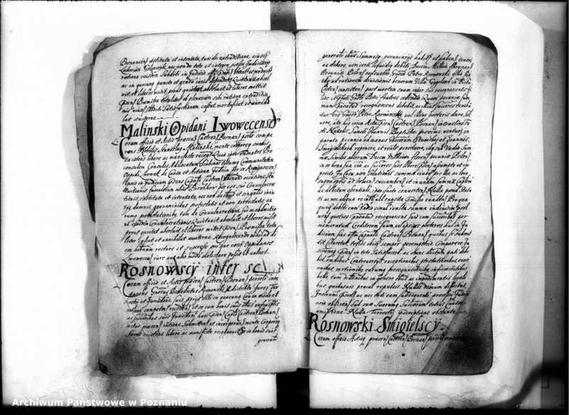 Obraz 7 z jednostki "Inscriptiones [inducta]"