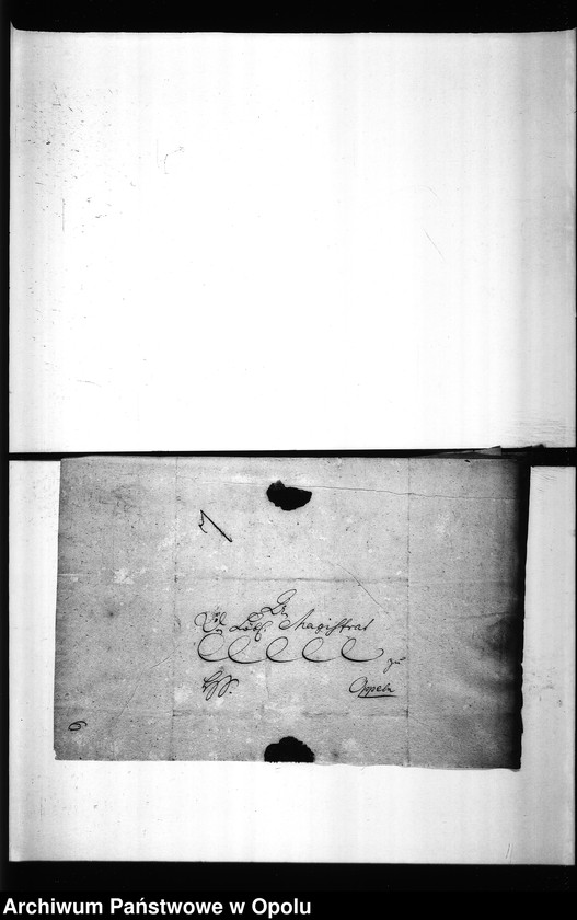 Obraz 12 z jednostki "Acta des Magistrats zu Oppeln von den hiesigen Cram-Woll-Vieh und Wochenmärckten"