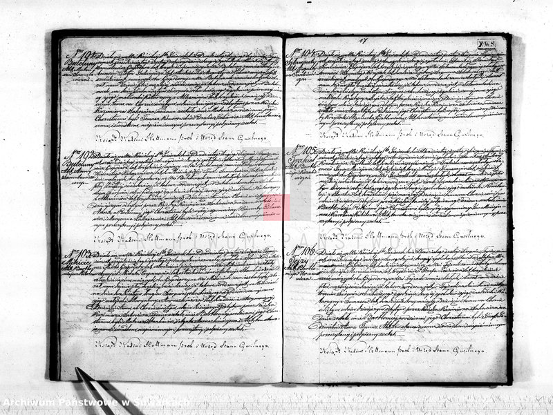 Obraz 19 z jednostki "Akta stanu cywilnego parafij Św. Jeziorskiej urodzonych, zaślubionych i umarłych z roku 1866"