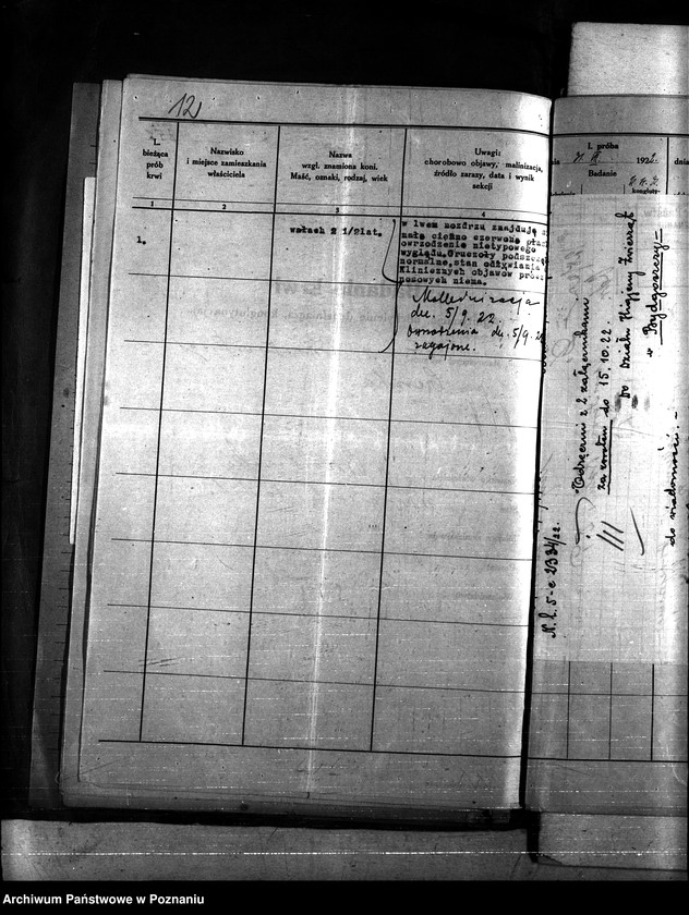 Obraz 16 z jednostki "Nosacizna - Chojnice"