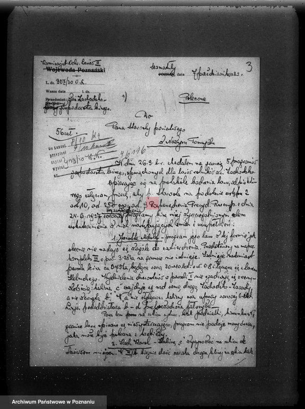 Obraz 8 z jednostki "/Nadzór nad gospodarką leśną/ protokoły badania lasów, programy gospodarcze powiat nowotomyski"