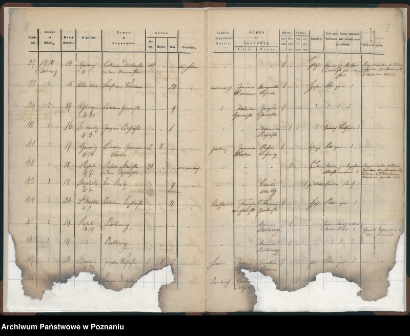 Obraz 7 z jednostki "Księga zgonów"