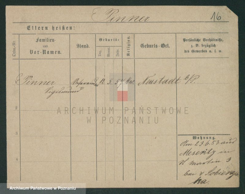 Obraz 16 z jednostki "Pinecki - Piotr"