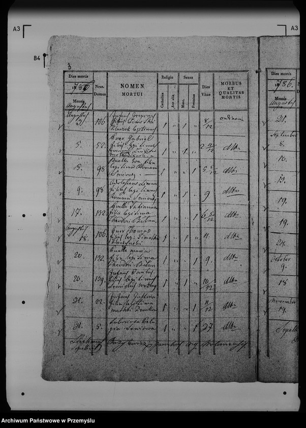 Obraz 8 z jednostki "[Kopie ksiąg metrykalnych parafii Wólka Mazowiecka (dekanat Rawa Ruska)]"