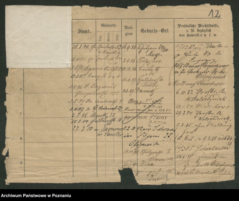 Obraz 14 z jednostki "Pudelewicz - Purpurowski"