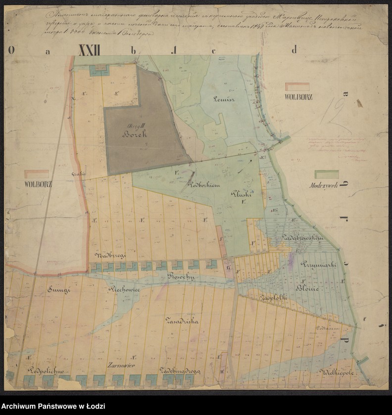 Obraz 9 z jednostki "Plan urządzenia majoratu Wolbórz"