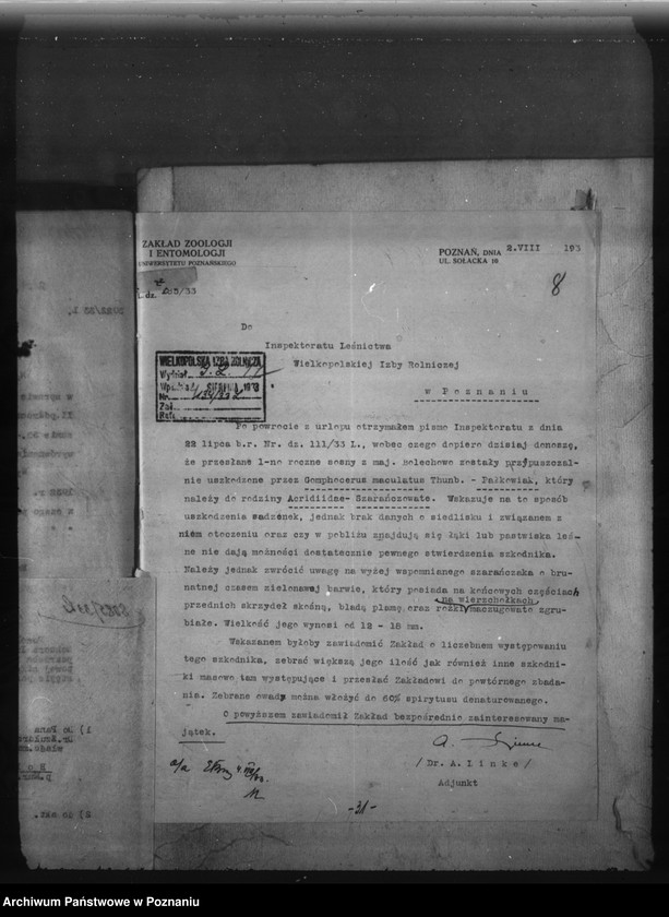 Obraz 12 z jednostki "Bolechowo powiat poznański /nadzór nad gospodarką leśną/"