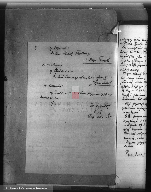 Obraz 13 z jednostki "Majętność leśna Wąsowo w powiecie nowotomyskim"