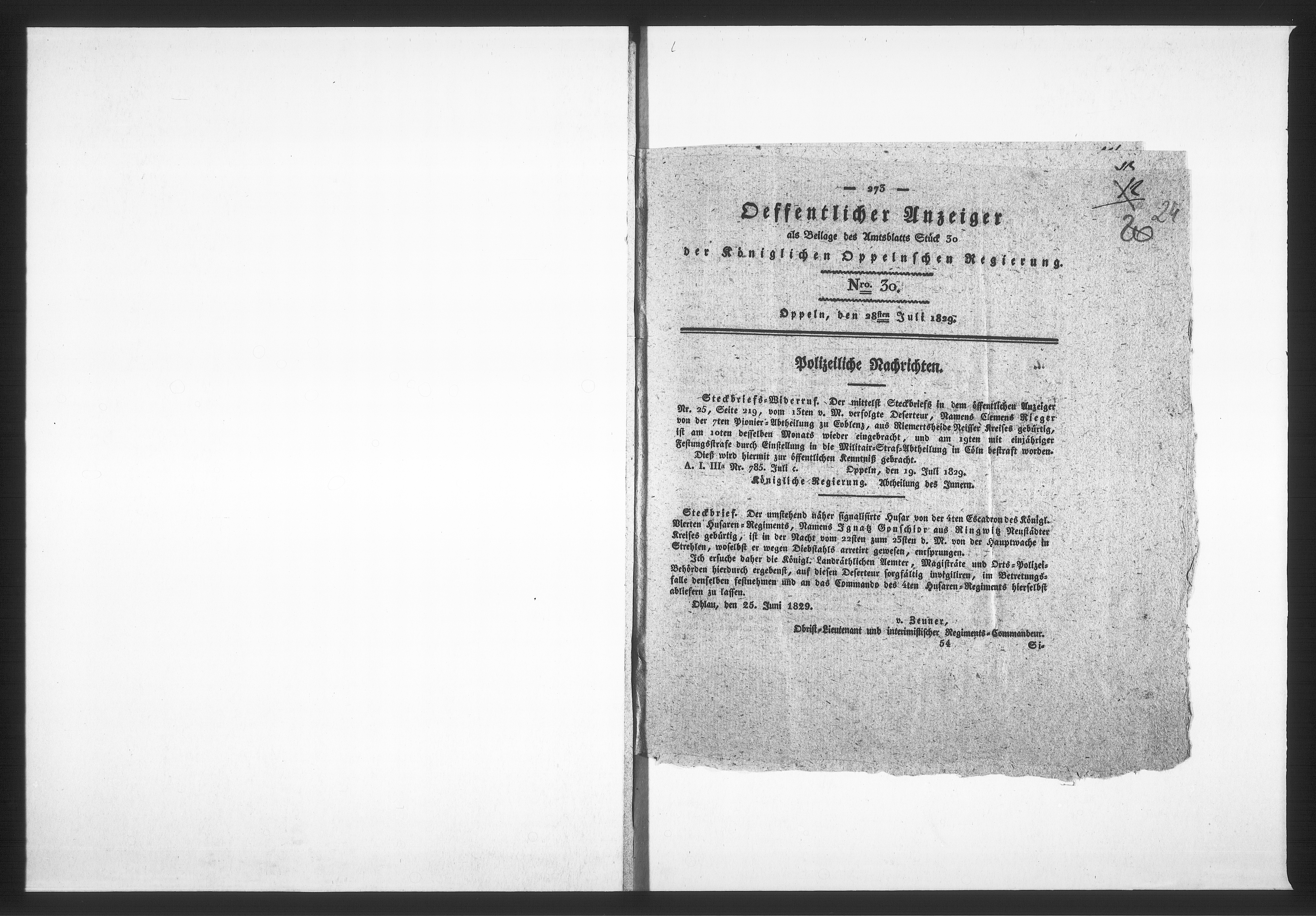 Obraz 20 z jednostki "Acta betreffend die Verpachtung des städtischen Gasthauses zum weissen Ross und der Viehmarkt Auftriebs-Gelder. Vol. II de anno 1829 bis 1852"