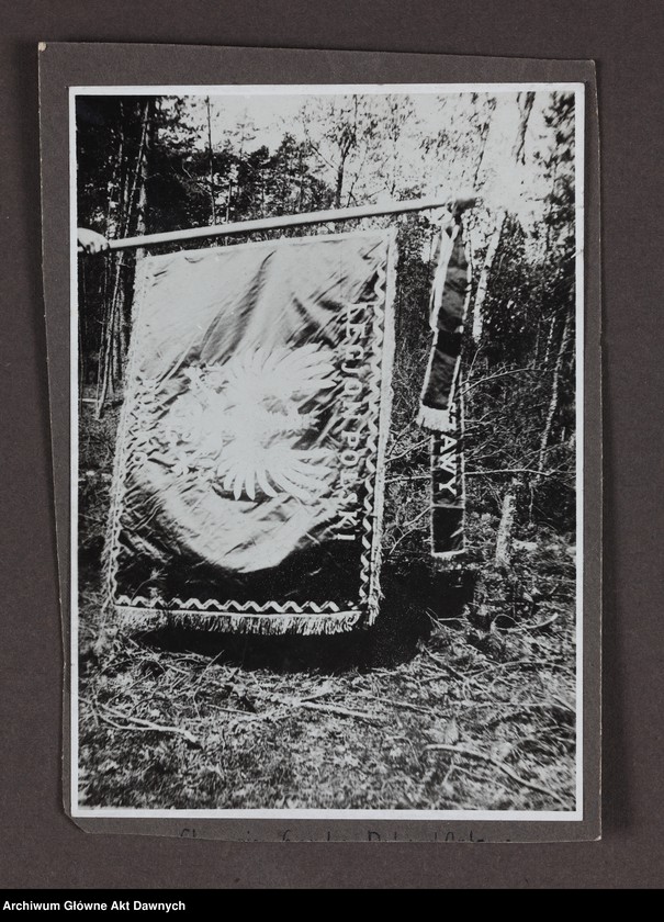 image.from.unit.number "Zbiór fotografii Album 6 pułku piechoty Legi/onów/."