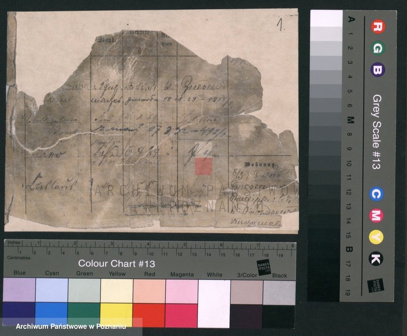 Obraz 1 z jednostki "Lewandowski (żonaci i wdowy)"