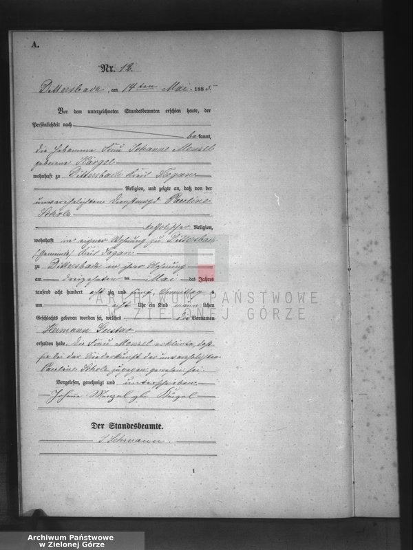 Obraz 15 z jednostki "[Księga aktów urodzeń]"