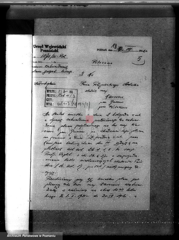 Obraz 9 z jednostki "Nadzór nad gospodarką w lasach majątku Karczewo powiecie gnieźnieńskim"