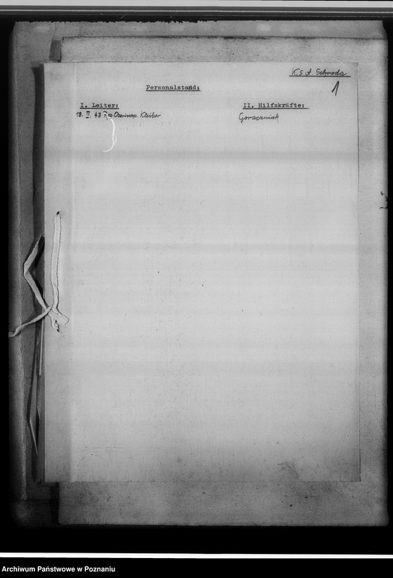 Obraz 5 z jednostki "[Korespondencja w sprawach organizacyjnych, sprawozdanie z działalności], Kreissippenamt Schroda [Środa]"