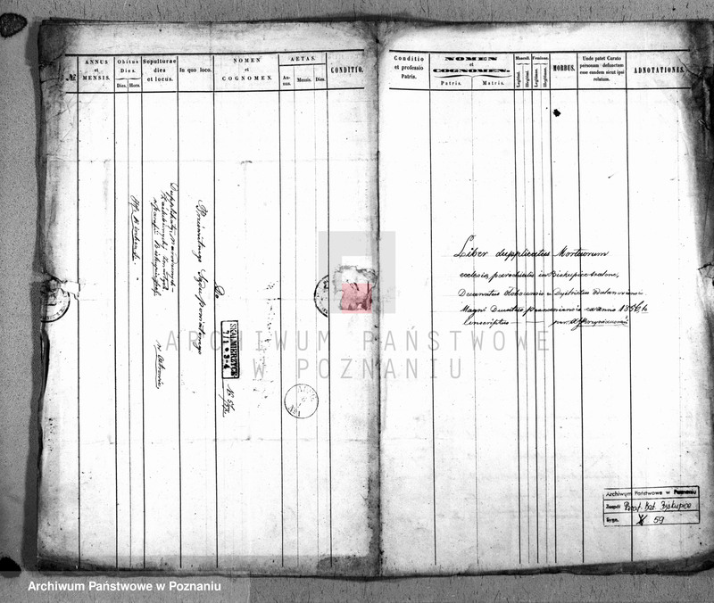 Obraz 1 z jednostki "Duplicatus mortuorum"