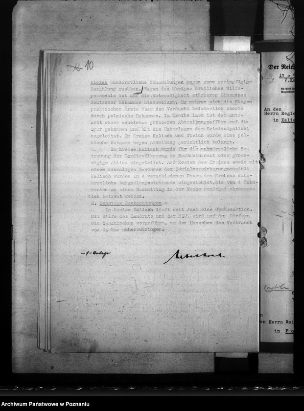 Obraz 14 z jednostki "Sprawozdania ze stanu zdrowotności w Kraju Warty, zwłaszcza w rejencji łódzkiej"