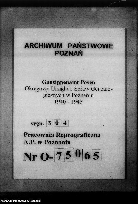 Obraz 1 z jednostki "Register der Juden, Dissidenten und Kirchenbuchduplikate, Pfarrarchive und Kirchenbücher [dotyczy terenu województwa łódzkiego]"