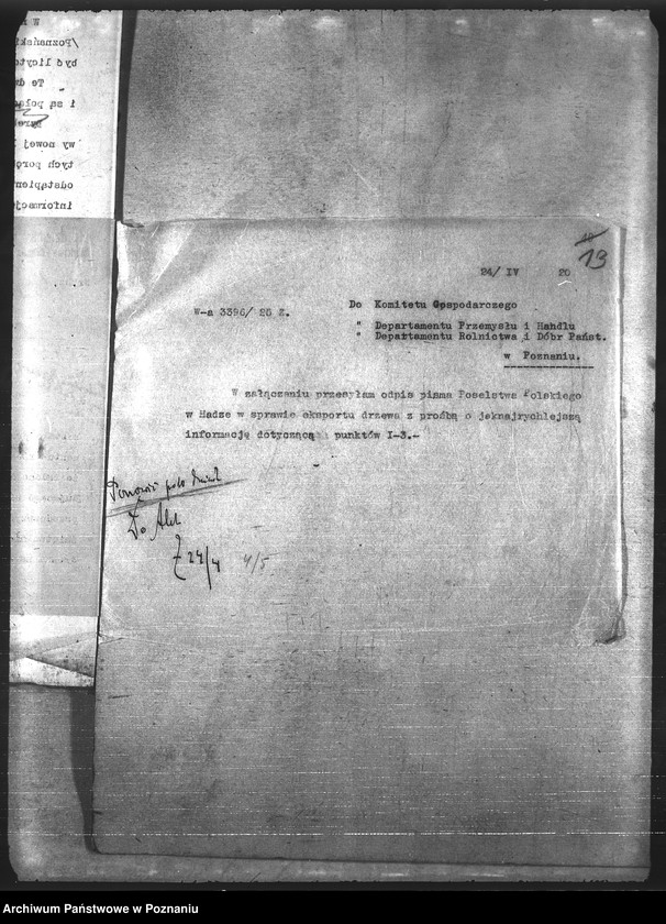 Obraz 17 z jednostki "Leśnictwo"