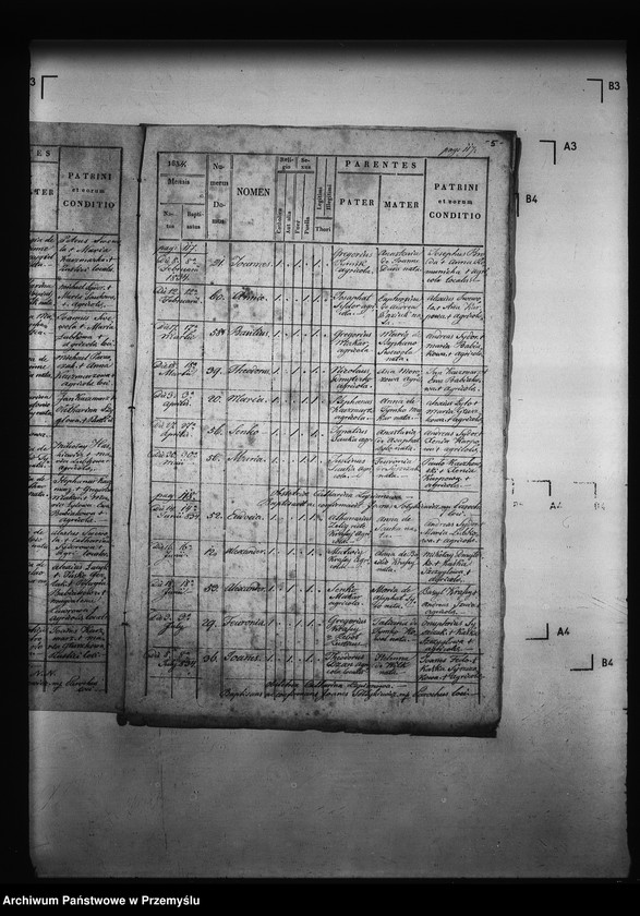 Obraz 9 z jednostki "[Kopie ksiąg metrykalnych parafii Miżyniec z filiami Gdeszyce, Zrotowice (dekanat Niżankowice)]"