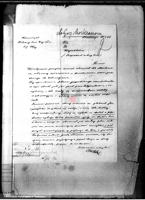 Obraz 6 z jednostki "Nadzór nad gospodarką w lasach majętności Gorzno-Biniew powiat ostrowski"