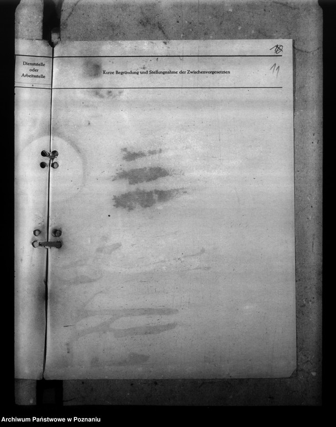 Obraz 15 z jednostki "Treudienst - Ehrenzeichen"