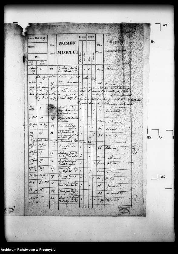 Obraz 13 z jednostki "[Kopie ksiąg metrykalnych parafii Grab z filiami Ożenna, Wyszowatka (dekanat Dukla)]"