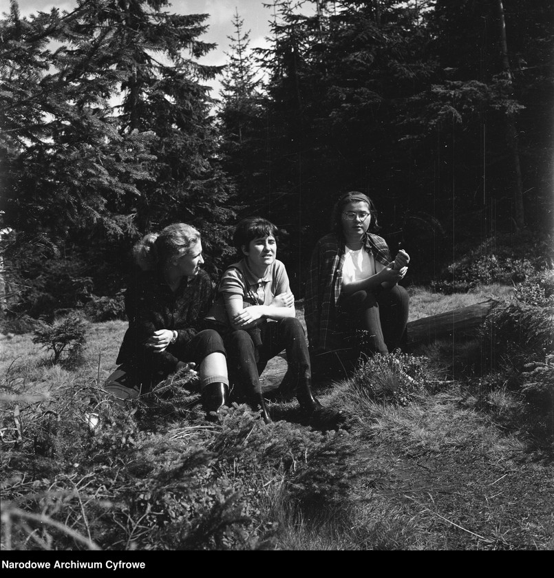 image.from.unit.number "Wakacje na Polanie Miętusiej w Tatrach"