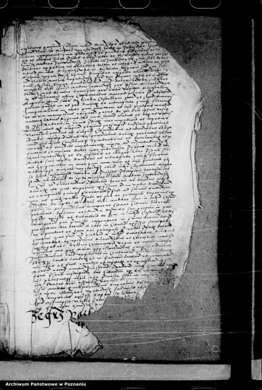 Obraz 4 z jednostki "Inscriptiones, relationes, decreta [inducta]"