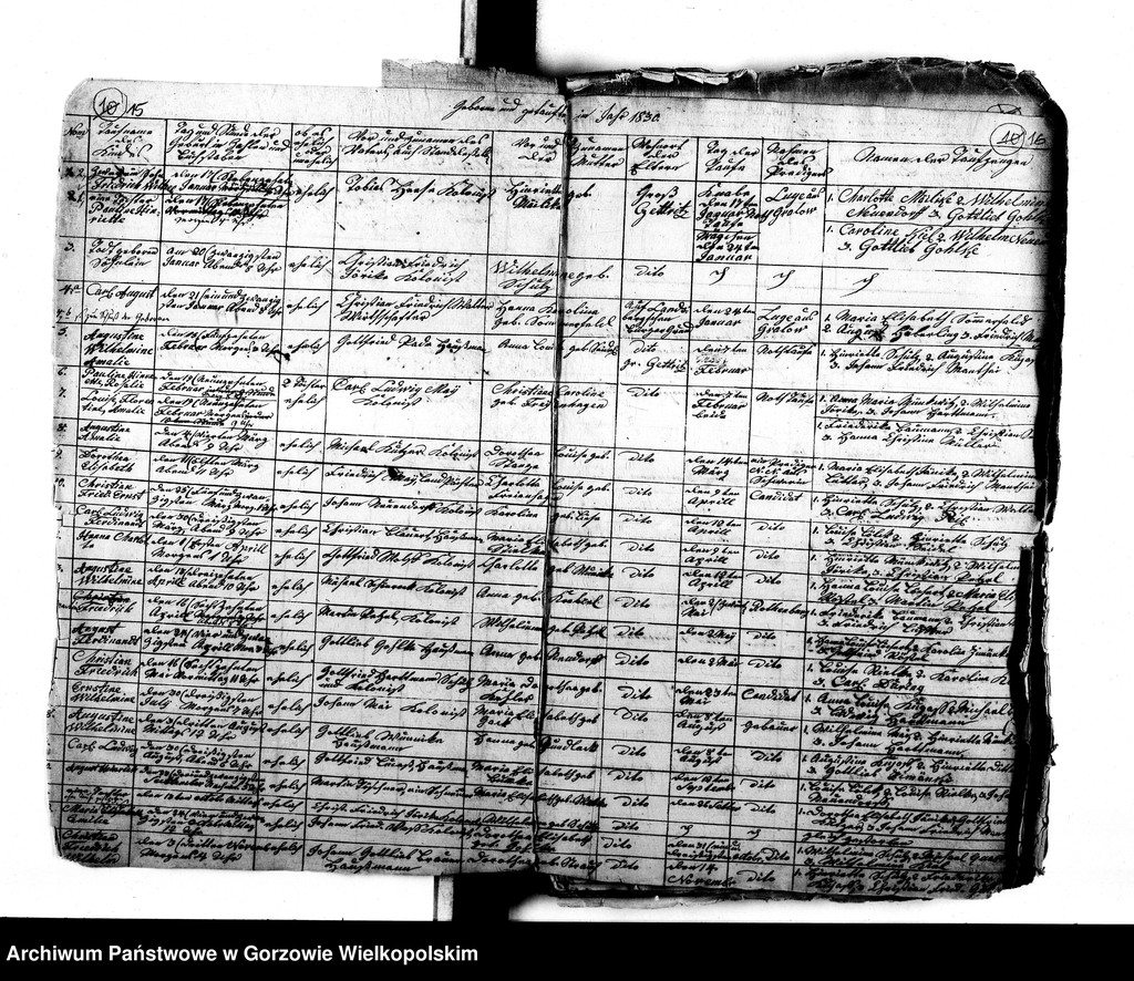 image.from.unit.number "Duplikate der Kirchenbücher von der Parochie Dechsel: Dechsel (Deszczno), Alvensleben (Krupczyn), Massow (Maszewo), Jakobsfelde (Miłomin), Borkow (Borek), Klein Zettritz, Gross Zettritz (Ciecierzyce), Berkenwerder (Brzozowiec), Landsberger Holländer (Chwałowice)"