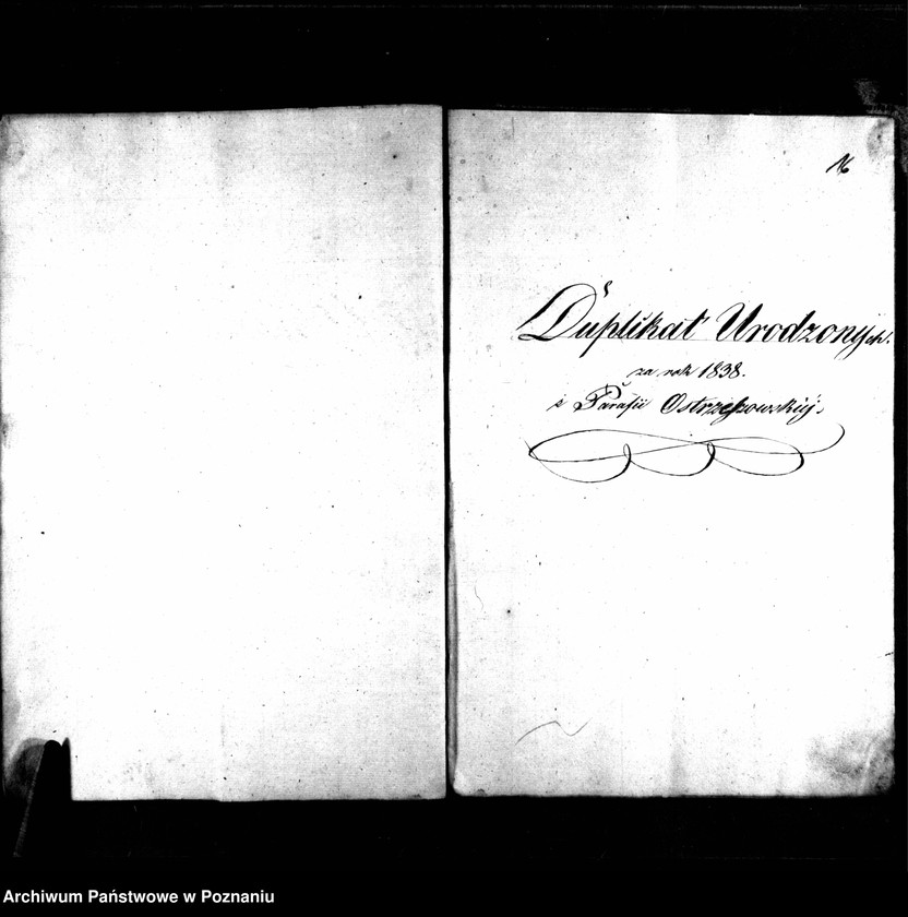 image.from.unit.number "Duplikaty urodzonych, zaślubionych i zmarłych"