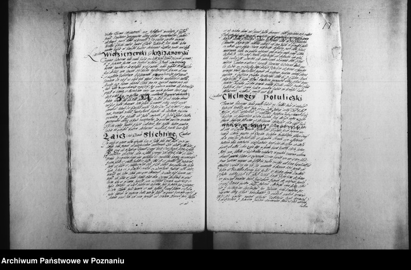 Obraz 20 z jednostki "Decreta [inducta]"