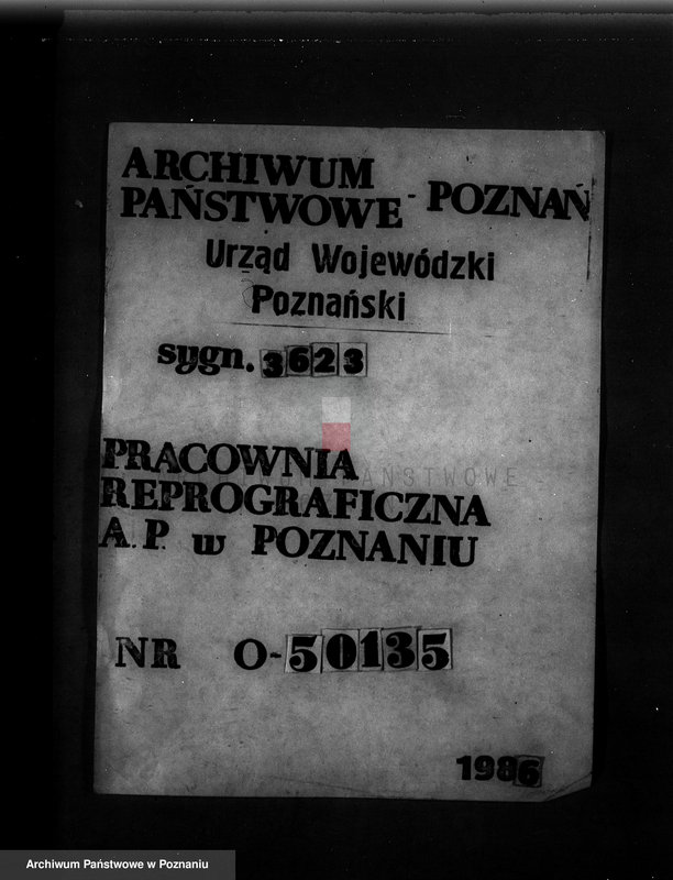 Obraz 1 z jednostki "/Majętność leśna Rzeszynek powiat mogileński"