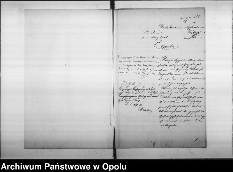 Obraz 19 z jednostki "Acta des Magistrats zu Oppeln betreffend Gastwirtschaft im Adametz