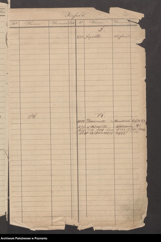 Obraz 6 z jednostki "A. betr. die Zuzüge zu den Insurgenten nach Polen vom Auslande /Deutsche, Franzosen, Italiener, Engländer, Dänen…/"