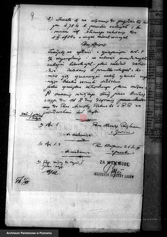 Obraz 13 z jednostki "Nadzór nad gospodarką w lasach majętności Przysieka powiecie gnieźnieńskim"