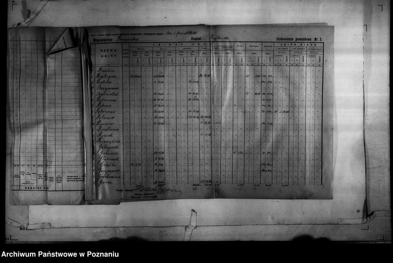 Obraz 6 z jednostki "/Statystyka produkcji rolnej - zestawienie powiatowe - Mogilno/"