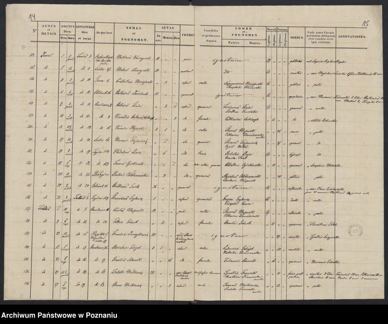 Obraz 10 z jednostki "Indeks zgonów"