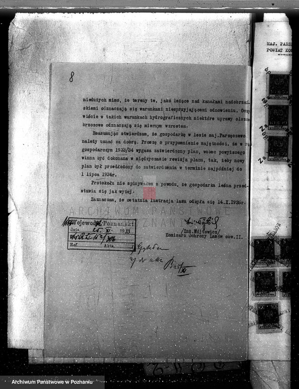 Obraz 12 z jednostki "Majętność leśna w Parzęcinie powiat kościański"